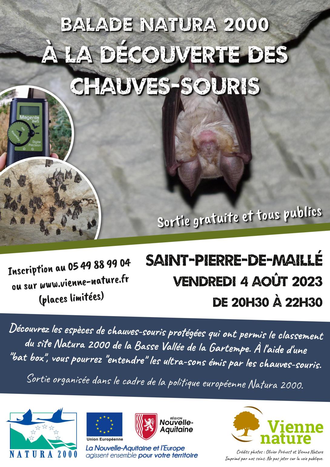 Affiche 2023 sortie chauve souris