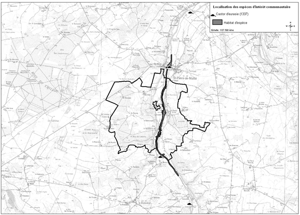 Répartition du Castor d’Europe sur le site Natura 2000