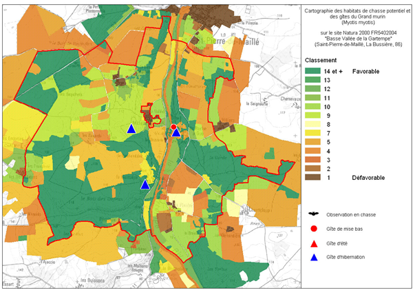 Répartition du Grand Murin sur le site Natura 2000