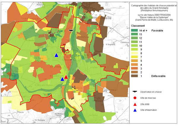 Répartition du Grand Rhinolophe sur le site Natura 2000