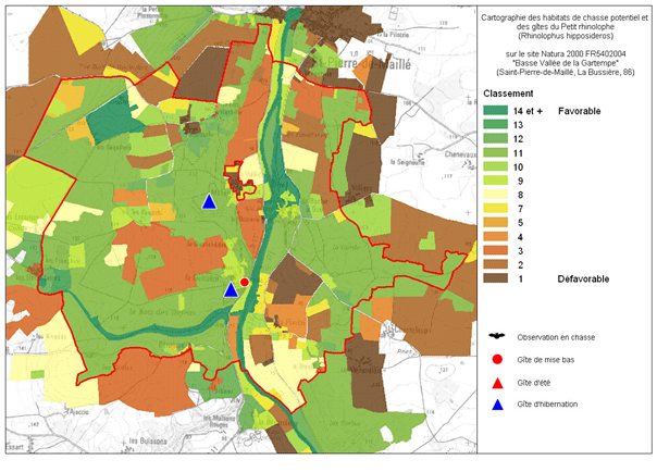 Répartition du Petit Rhinolophe sur le site Natura 2000