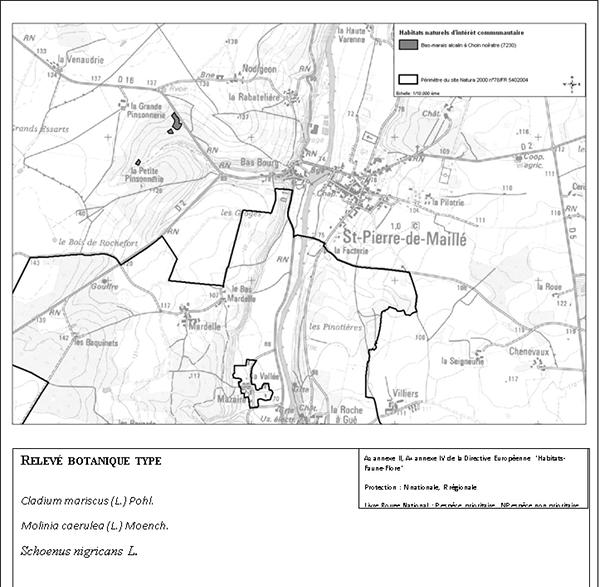 carte Bas-Marais à Choin noirâtre