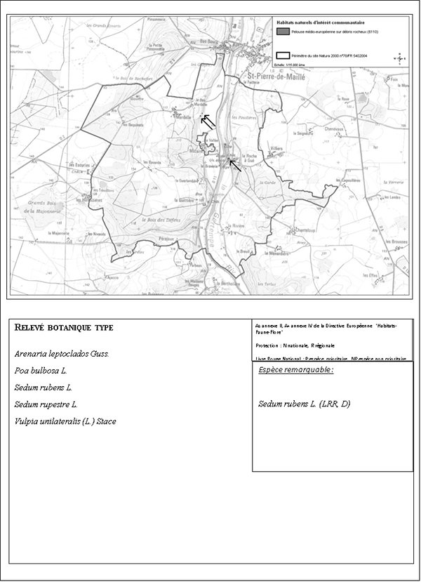 carte Pelouses rupicoles calcaires ou basiphiles du Alysso-Sedion albi