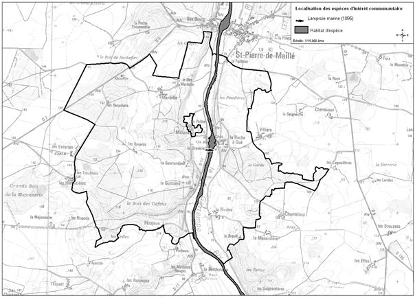 carte Lamproie marine