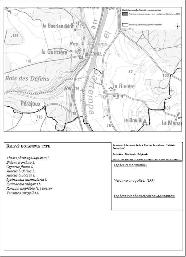 carte Rivières avec berges vaseuses avec végétation du Chenopodion rubri p.p. et du Bidention p.p.