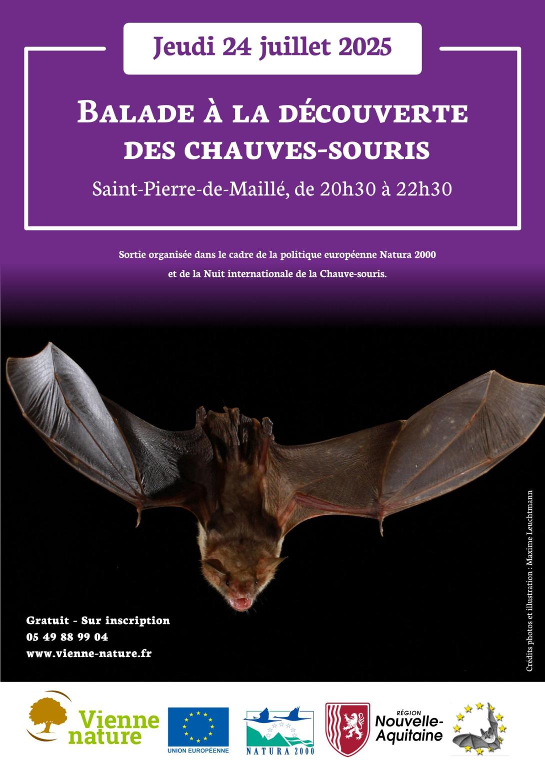 Balade à la découverte des chauves-souris_2025