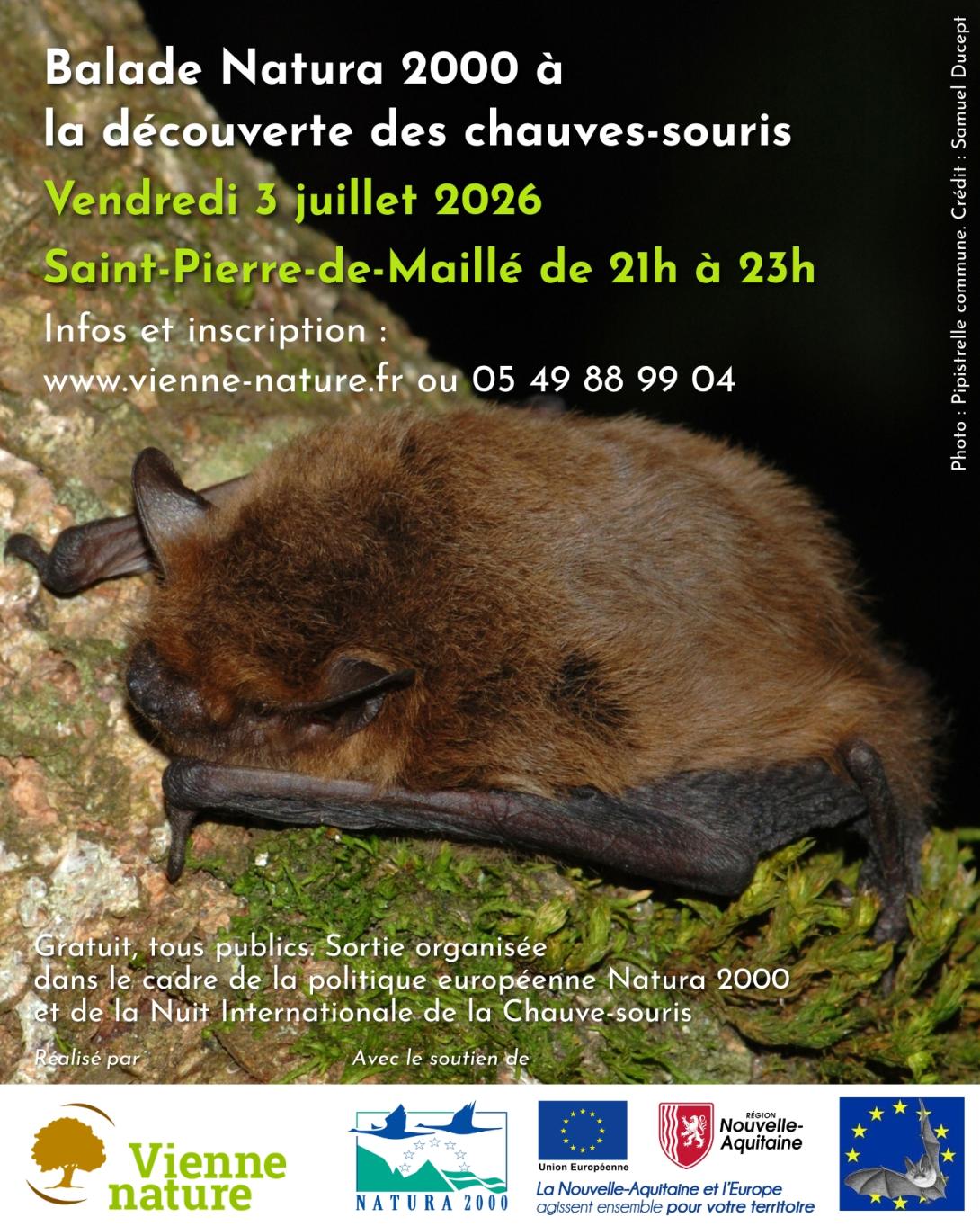 Balade Natura 2000 à la découverte des chauves-souris